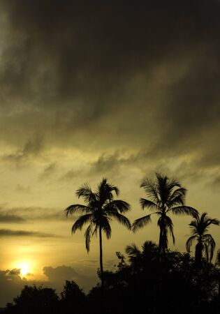 Sunriseの写真素材
