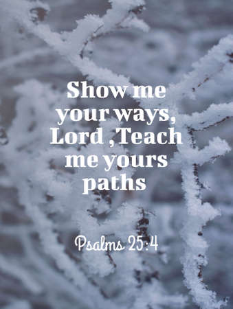 bible Verses  Psalms 25:4" Show Me your ways Lord, teach me yours paths "の写真素材