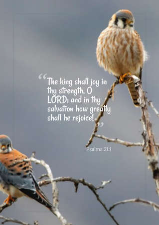 Bible Words " The King Shall joy in they Strength ,o Lord : and in they Salvation how greatly shall he rejoice "Psalms 21:1の写真素材