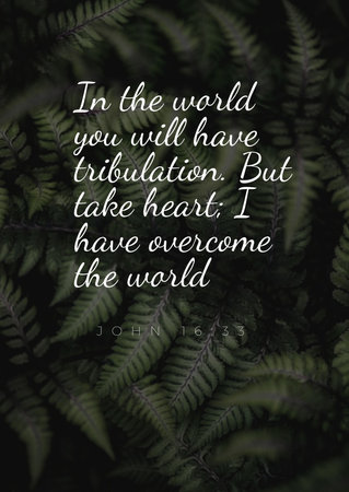 word, text, concept, business, christmas, cloud, illustration, design, definition, dictionary, tag, vector, pattern, management John 16:33 "の写真素材