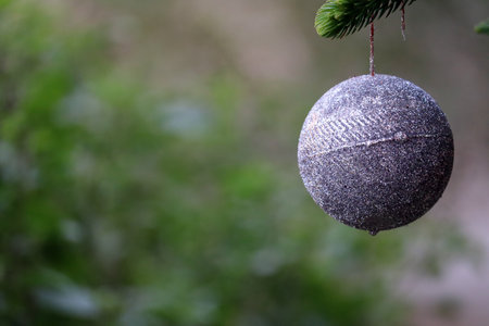 christmas ball on the treeの写真素材