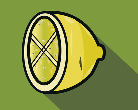 Lemon concept with icon design, vector illustration 10 eps graphic.の写真素材