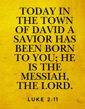 Bible Verses  Bible Verses  Today in the town of David a Savior has been born to you; he is the...