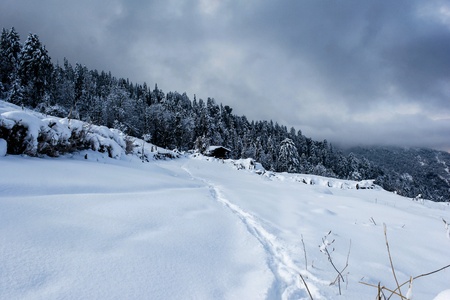 Frozen daysの素材