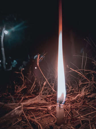 Burning candle in the forest at night. Burning candle in the forest.の写真素材