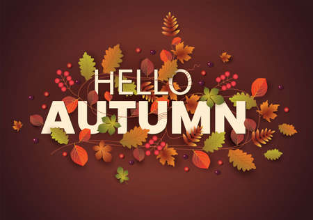 hello Autumn stylish background decorate with leaves and fruits. web banner. Vector illustration poster template design.のイラスト素材