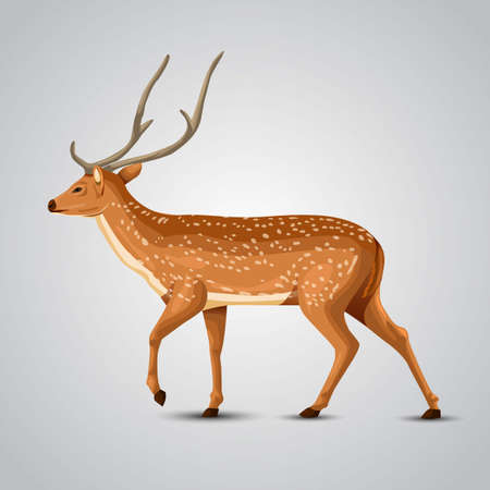 full size deer drawing. vector illustration designのイラスト素材