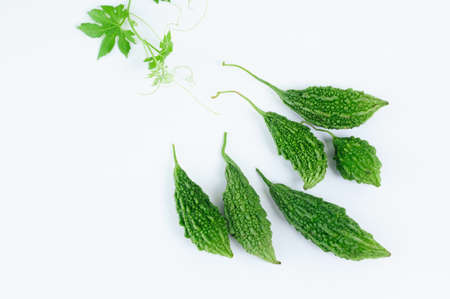 Green Momordica or karela with leafの写真素材
