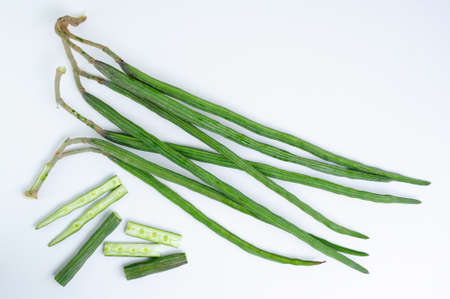 Drumstick Plant - Moringa oleiferaの写真素材