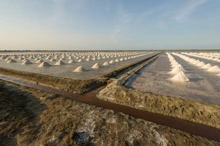Salt fields with piled up sea salt in Thailandの写真素材