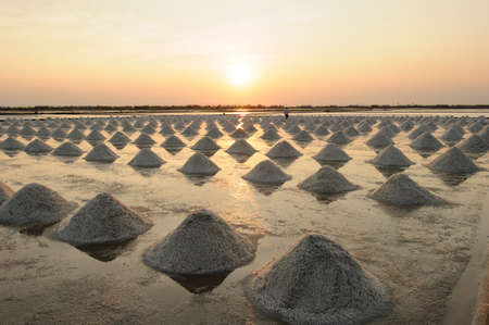 Salt fields with piled up sea salt in Thailand