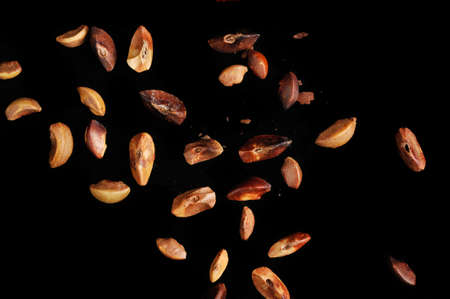 The winged seed, blowing in the wind の写真素材