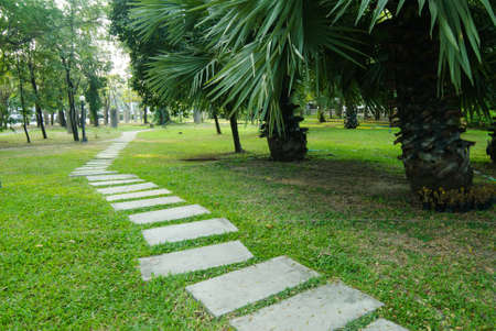 the route walks in public parkの写真素材