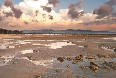 stone on the beach in sunset