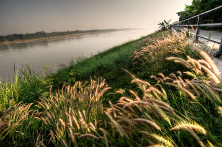 Grass and river Khong, Thailandの写真素材