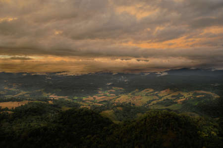 Landscape of the rice and corn plantations in Thailandの写真素材