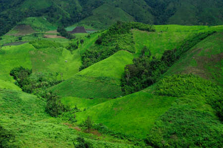 cultivated land, western of Thailandの写真素材
