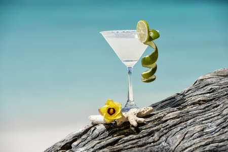 Margarita with salt and lemon on glass rimの写真素材