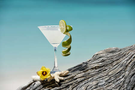 Margarita with salt and lemon on glass rimの写真素材