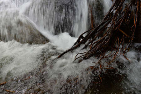 small waterfall with root