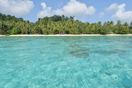 tropical beach with jungle, Andaman Sea, Thailandの写真素材