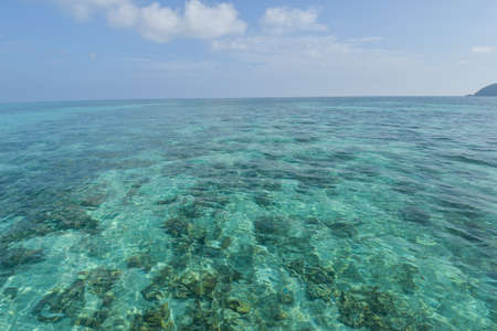 beach and tropical sea