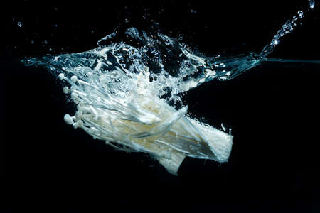 mushroom falling into fresh water making splashの写真素材