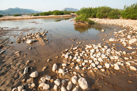 Sand dunes of Khong river and water plant.
