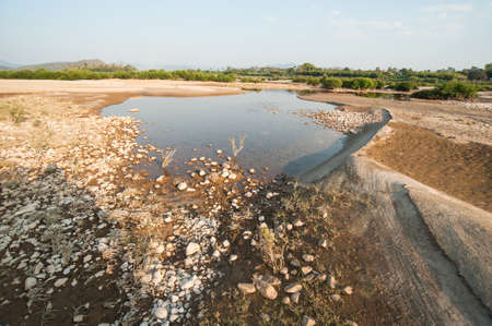 Sand dunes of Khong river and water plant.