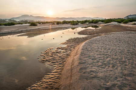 Sand dunes of Khong river and water plant.の写真素材