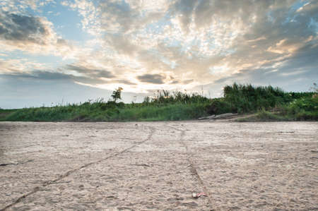 Wild Grass on Sand Dunes with sunsetの写真素材