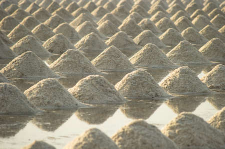 Row of salt in Salt pan