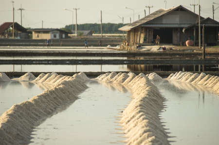 Row of salt in Salt panの写真素材