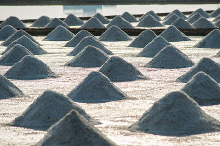 Salt pan at rural area of Thailandの写真素材