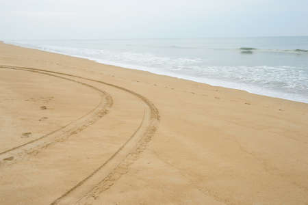 beach on the Outer Banksの写真素材