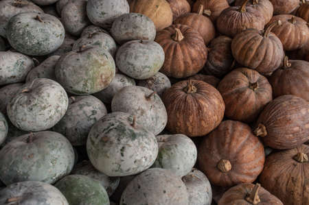 Pumpkins in market, Thailandの写真素材