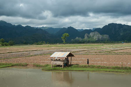 Cultivate land and limestone background, Laosのeditorial素材