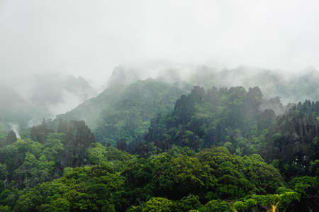 Fog covers distant trees on a limestone mountain side, Laosの写真素材