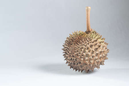 Durian,Thailand's fruit shot on studio background