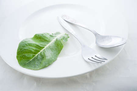 Healthy eating concept with fresh vegetables and saladの写真素材