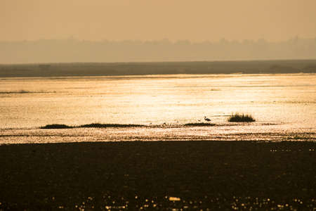 Colorful sunset deep in the wetland, Thailnad