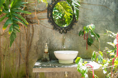 Old toilet in the forest