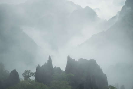 Distant trees surrounded by thin fog on the limestone ridge, Laosの写真素材