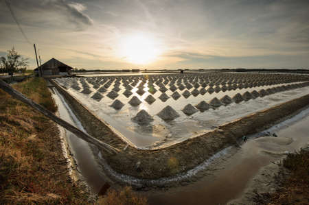 beautiful landscape of a summer with a salt farm in Thailandの写真素材