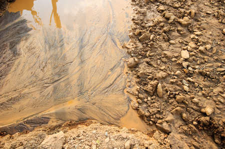 Ecology, pollution of wood and the rivers