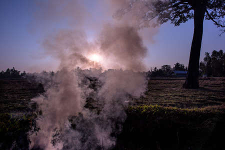 Fire and smoke on a field at the sunriseの写真素材