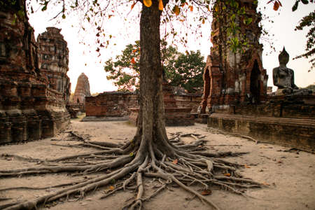 Overview of Ayutthaya temples in Thailand. Ruins of ancient brick walls, old pagoda.の写真素材