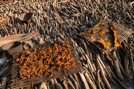 Firewood in front of rural minority house at Lamphun, Thailandの写真素材