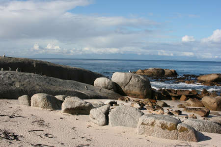 South Africa cape town beachの写真素材