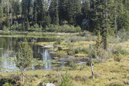 Yellowstone Grand Tetons